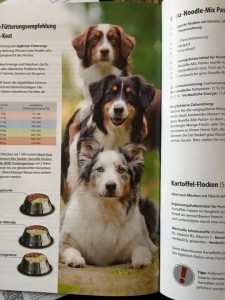 Grau Hunde Spezial Katalog